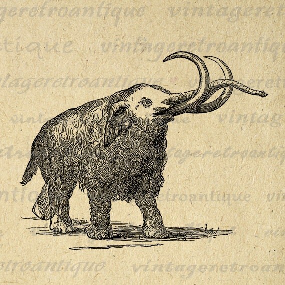 Woolly Mammoth Digital Graphic Printable by VintageRetroAntique
