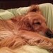 Sleep Beauty