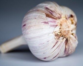 SALE -- Organic Powdered Garlic