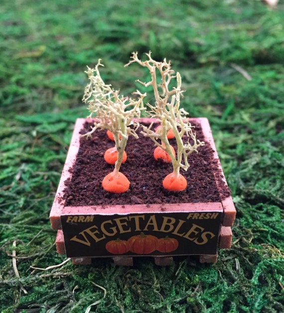 Miniature Dollhouse Carrots in Flat Crate One Inch Scale
