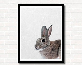 Bunny rabbit print | Etsy