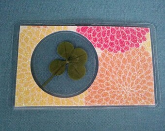 Real four leaf clover wallet card or bookmark