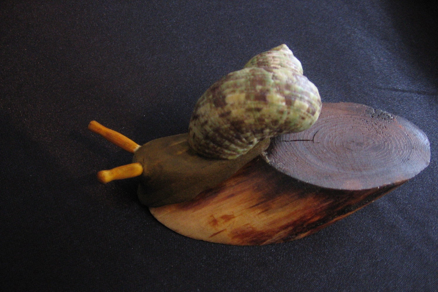 SNAIL HANDMADE WOODEN. Snail carving wooden Sculpture snaile