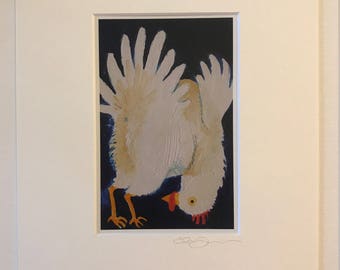 Cheeky Chicken
