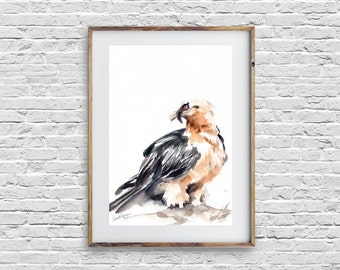 Bird painting, original watercolor painting, Lammergeyer Bird, bird watercolour art