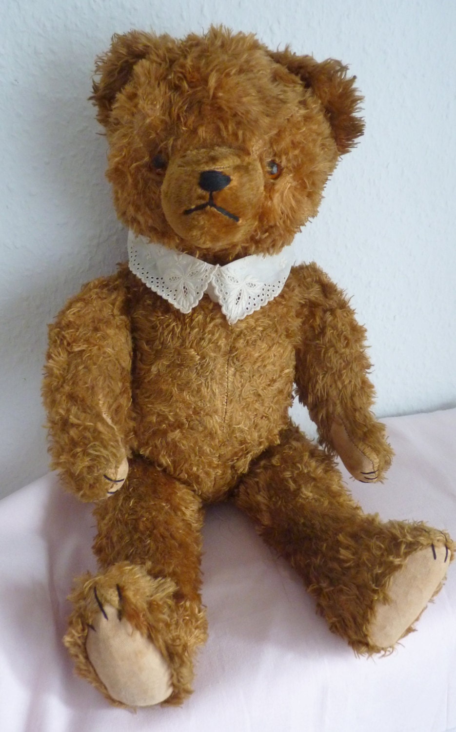 german teddy