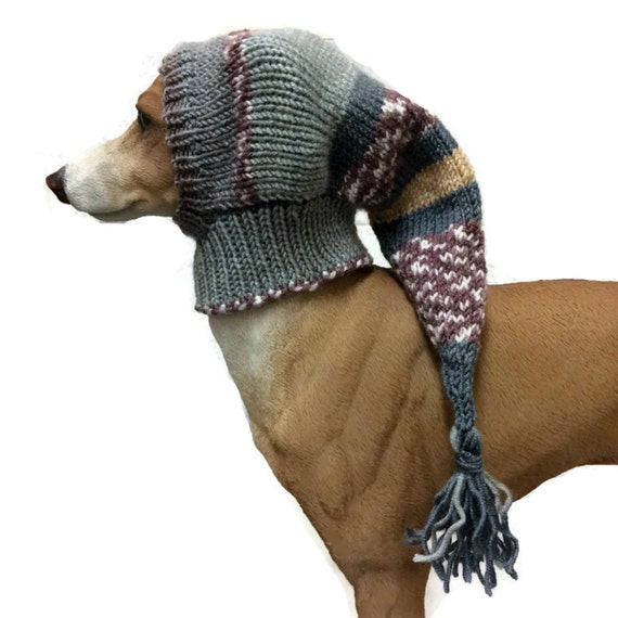 italian greyhound hat