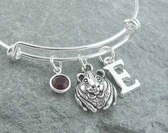 Guinea pig bracelet, silver charm bracelet, initial bracelet, swarovski birthstone, personalized jewelry, adjustable bangle, guinea pig gift