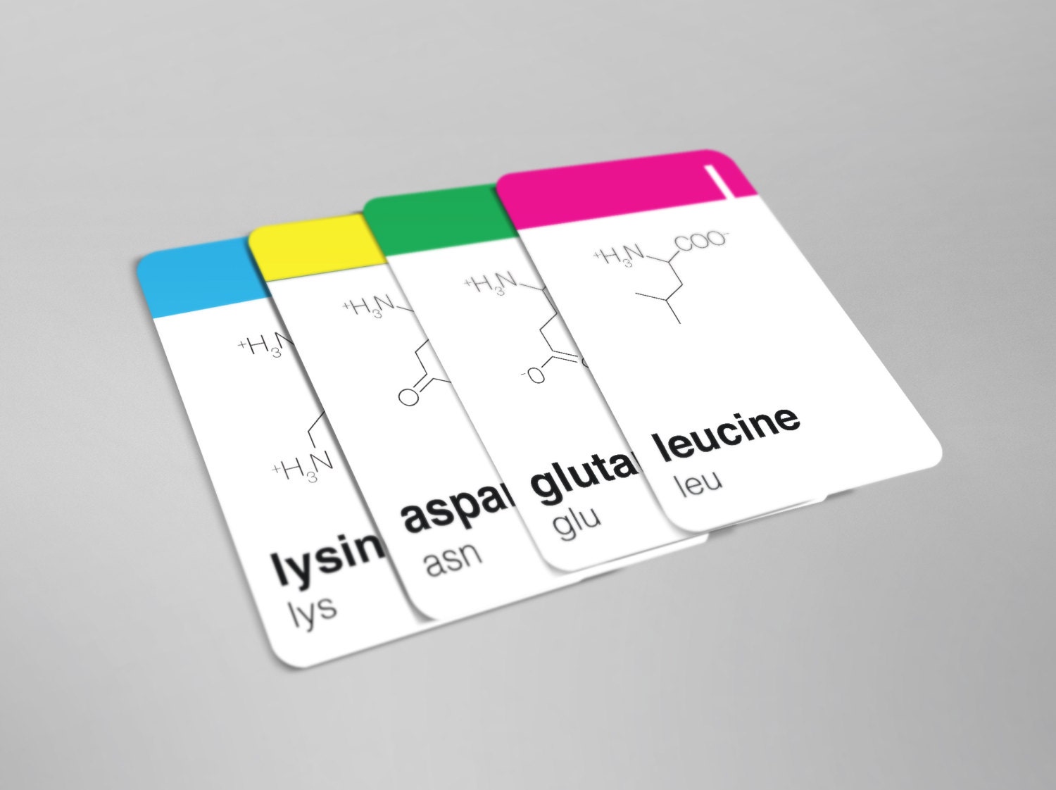 Mino Amino Acid Flash Cards Minimalist