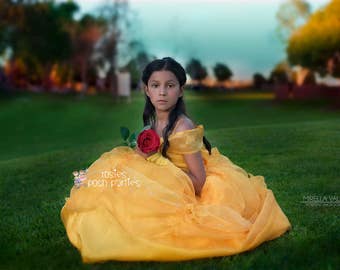 Princess Belle dress for Birthday costume or Photo shoot Belle dress outfit Birthday dress Belle costume Princess dress for Birthday party