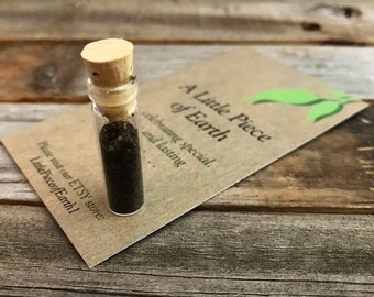 Orlando, Florida Soil, Vial Only, Souvenir, Memento