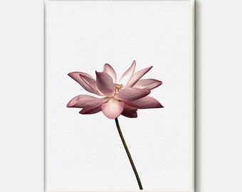 Lotus flower, Lotus Print, Yoga Wall Art, Yoga Flower Printable, Downloadable Lotus, Conteporary Yoga Artwork, Floral Prints, Flower Photo