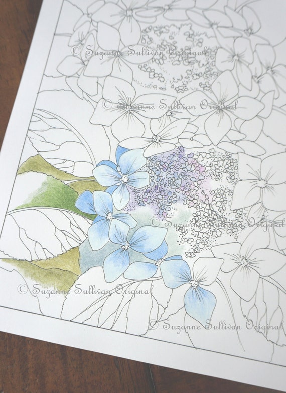 Hydrangea Coloring Page Flower Coloring Page Lace Cap