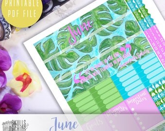 50% OFF! ERIN CONDREN June Monthly View Kit – Printable Planner Stickers