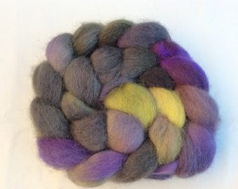 Hand Dyed Texel wool tops