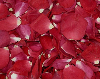 Falling In Love Rose Petals. 50 cups. Wedding Petals.Real Rose Petals.Proposal Petals. Preserved Freeze-dried Rose Petals. Wedding Confetti