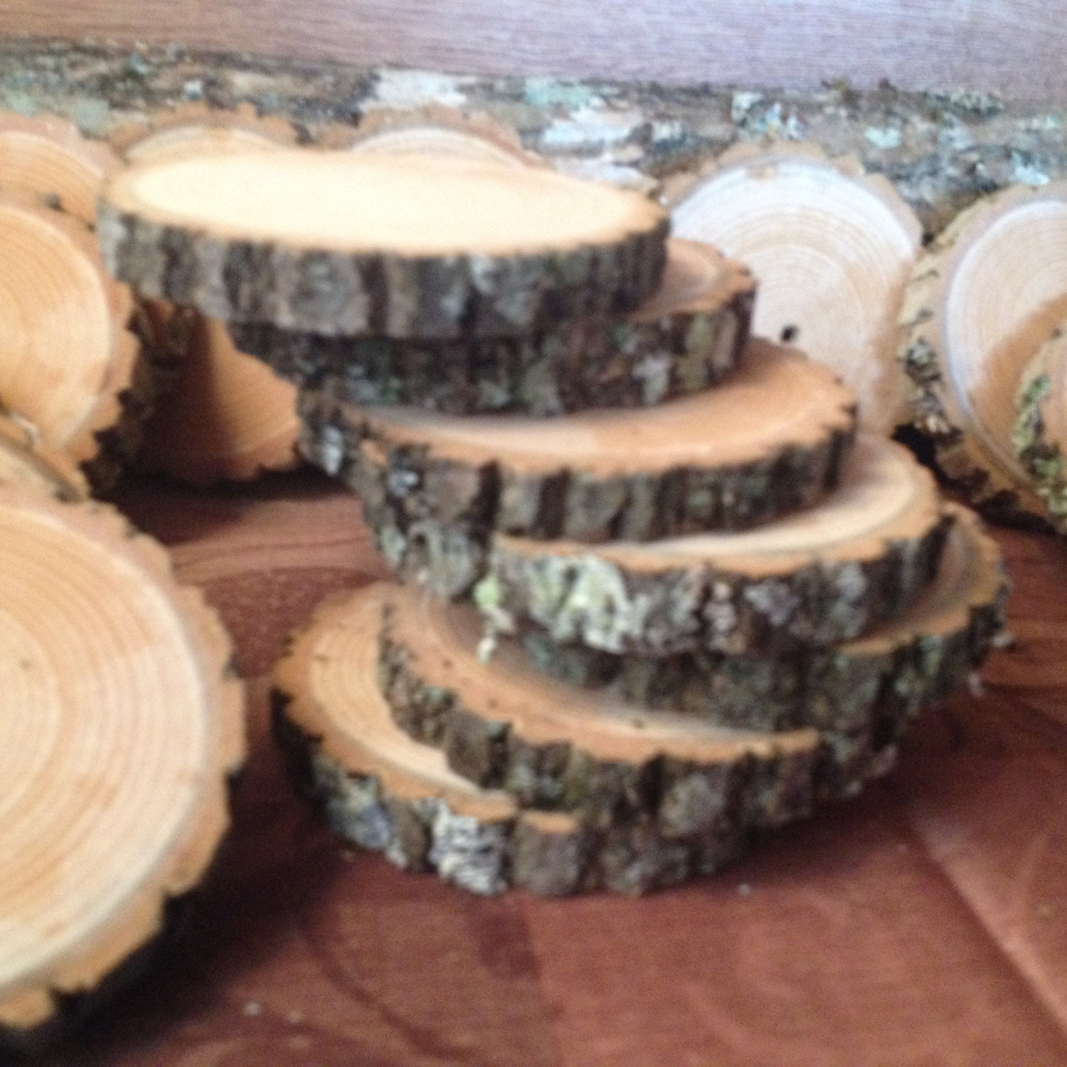 20 Pieces Real Ash Wood Log Slices for Crafts / Weddings / Coasters
