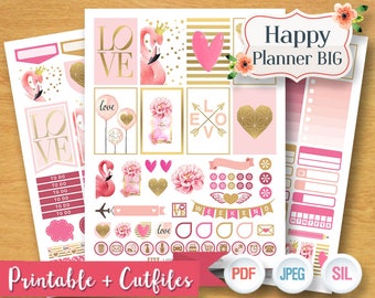 2017 - 2018 LOVE FLAMINGO Weekly Planner Stickers Digital Planner Kit Sticker Plan Love Heart Pink Set Printable BIG Happy Planner Stickers