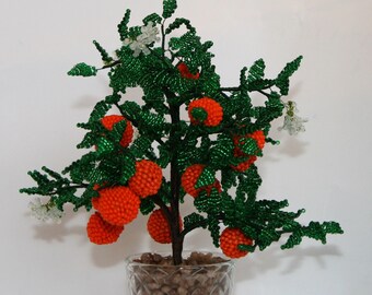 Orange tree