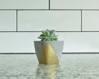 Concrete Succulent Planter, Small, Concrete and Gold, Modern & Trendy