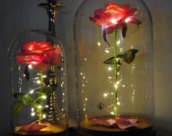 Enchanted Rose