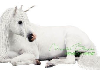 Unicorn, Overlay, digital Png, white, Art, Fantasy, Photoshop, Photo, laying Horse, cut out, real, Fairy, download, Photoshop