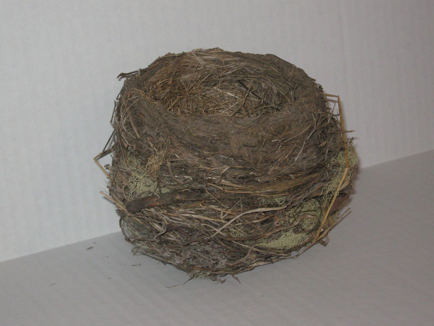 Real Natural Bird's Nest Birdnest Solid Twigs Moss Grass Mud Large from