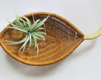 Decorative Wall Baskets wicker decor | etsy Decorative Wall Baskets wicker decor | etsy