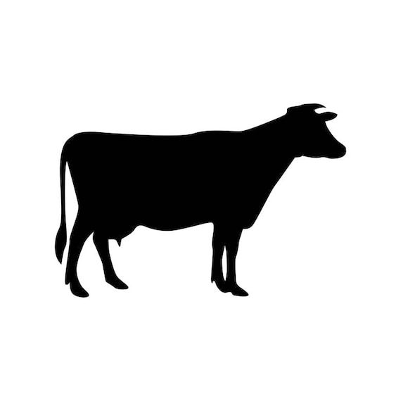 cow cdr clipart - photo #2