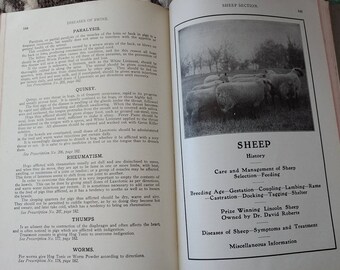 Practical Home Veterinarian - 1910s Vintage Book