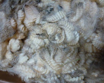 Romney Fleece Raw 30 to 32 Micron One Pound Large Locks SALE