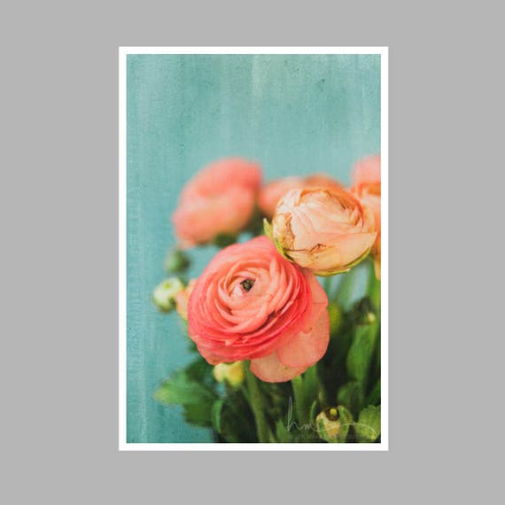 ranunculus flower photography wall art still life pink bouquet