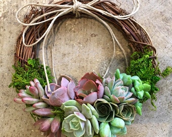 Small 8" colorful Living Succulent Wreath, "Juliette Wreath", flower like succulents, hostess gift, shower gift, grapevine wreath, rustic de