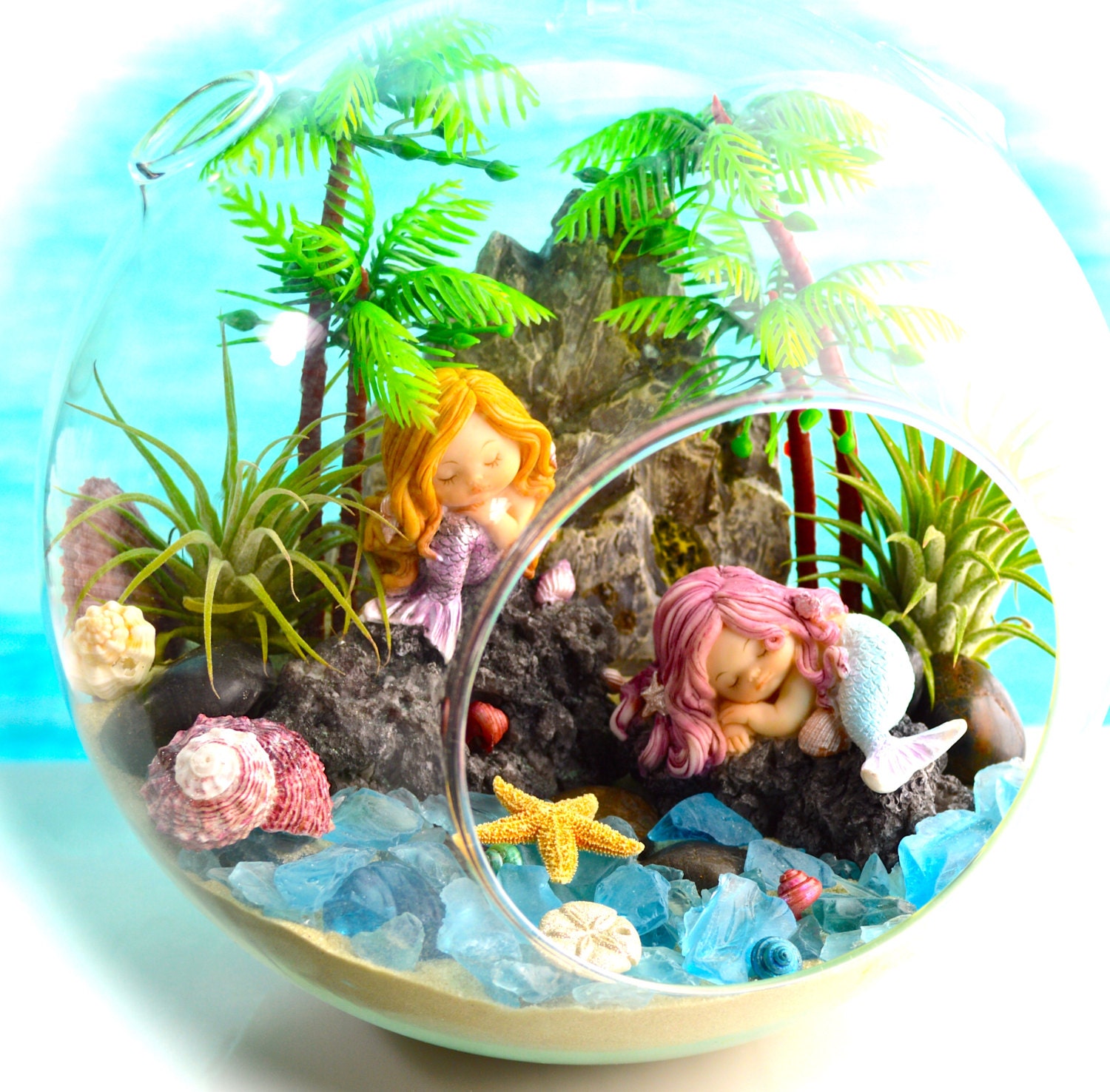 Mermaid Beach Terrarium Kit 2 Air Plants Beach Decor 2