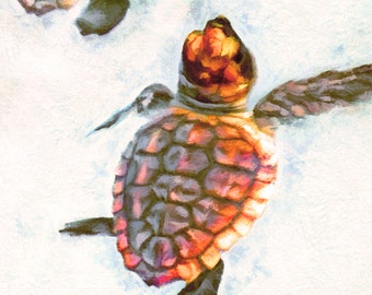 Sea Turtle Babies, Hatchlings, Gift for Turtle Lover, Sea Turtle Canvas, Turtle Art, Sea Turtle Painting, Art Print, Beach Decor, Ocean Art