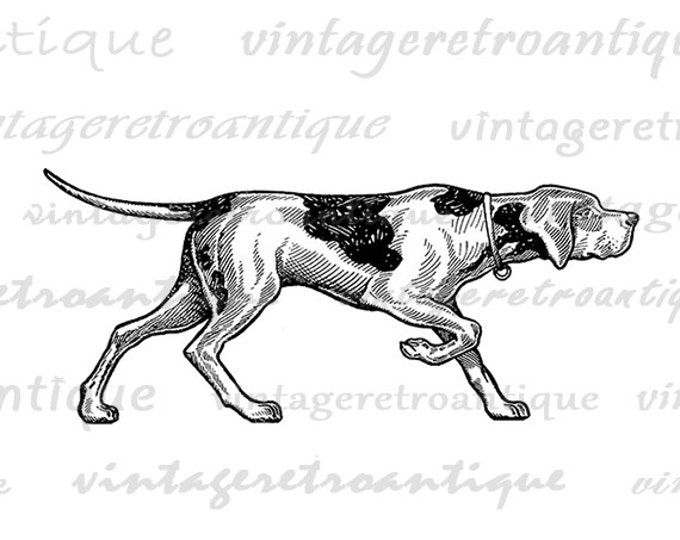 Printable Image Antique Dog Download Illustration Digital Graphic Vintage Clip Art Jpg Png Eps HQ 300dpi No.1407