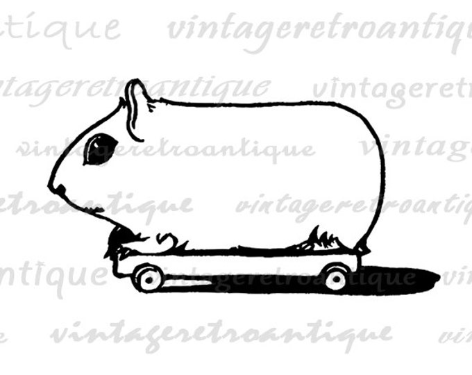 Printable Image Cute Guinea Pig Animal Digital Download Graphic Artwork Antique Clip Art Jpg Png Eps HQ 300dpi No.3609