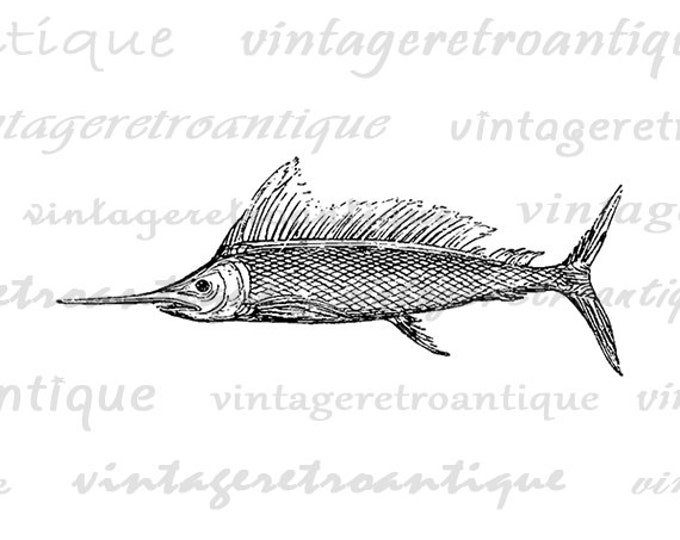 Printable Swordfish Graphic Digital Fish Image Download Vintage Clip Art Jpg Png Eps HQ 300dpi No.595