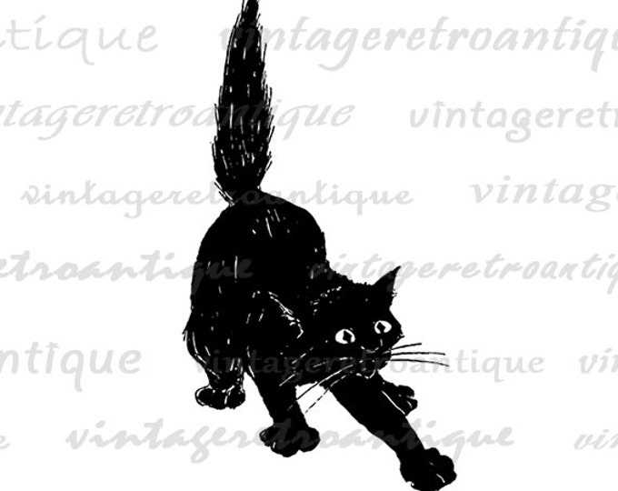 Printable Image Black Cat Graphic Digital Download Artwork Antique Clip Art Jpg Png Eps HQ 300dpi No.1916