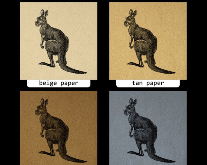 Kangaroo Digital Image Graphic Download Kangaroo Illustration Printable Vintage Clip Art Jpg Png Eps HQ 300dpi No.2644