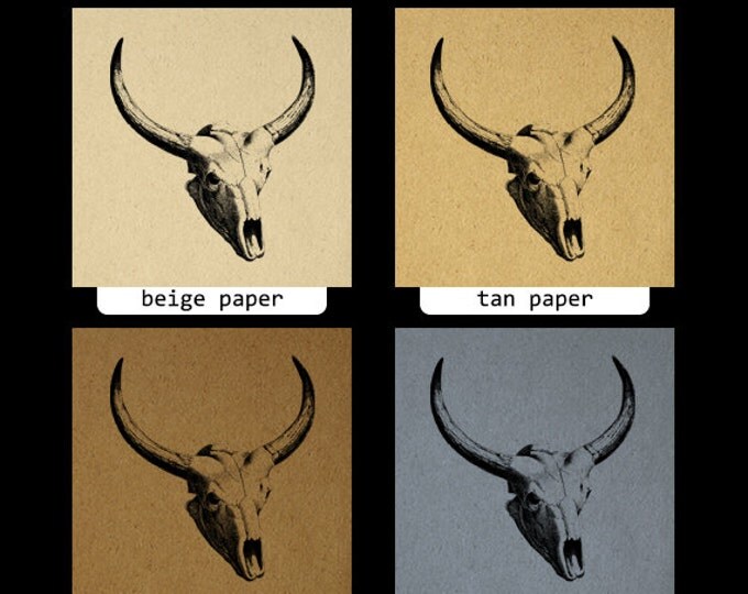 Printable Bull Skull with Horns Graphic Digital Cow Download Western Image Vintage Clip Art Jpg Png Eps HQ 300dpi No.554