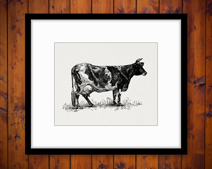 Printable Graphic Dairy Cow Download Illustration Digital Image Antique Clip Art Jpg Png Eps HQ 300dpi No.3161