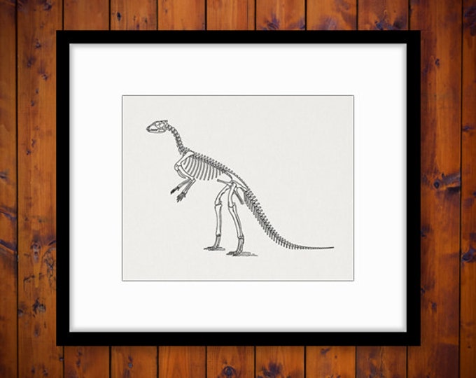 Dinosaur Bones Digital Image Download Printable Graphic Vintage Clip Art Jpg Png Eps HQ No.2191