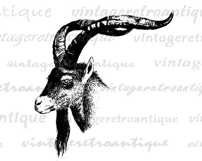 Goat Image Digital Download Animal Ram Printable Illustration Graphic Vintage Clip Art Jpg Png Eps HQ 300dpi No.475