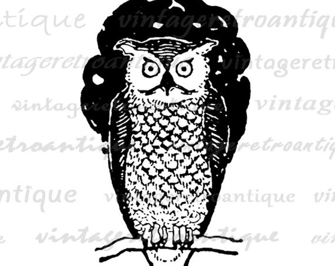 Digital Image Owl Download Bird Illustration Graphic Printable Vintage Clip Art Jpg Png Eps HQ 300dpi No.1669