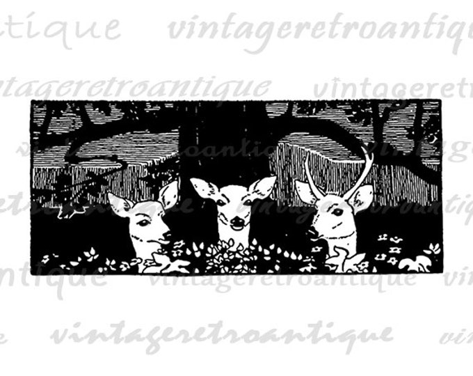 Printable Image Three Deer Download Illustration Digital Graphic Antique Clip Art Jpg Png Eps HQ 300dpi No.2065