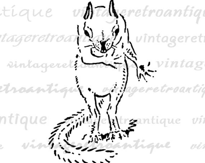 Printable Image Squirrel Takes a Bow Download Cute Graphic Digital Antique Clip Art Jpg Png Eps HQ 300dpi No.825