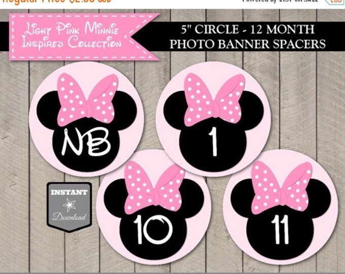 SALE INSTANT DOWNLOAD Light Pink Mouse 12 Month Photo Banner Spacer / 1st First One 1 Birthday/ Light Pink Mouse Collection / Item #1814