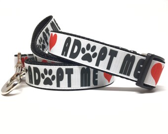 Buckle-Down Hundeleine Rasta Design – 4 Fuß (1,2 M) Lang, 1,5 Zoll (3,8 Cm) Breit, Made In USA