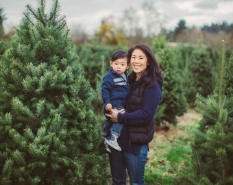 5 Digital Background Backdrop- Photography - Christmas Tree Farm - Newborn, kids, maternity - Instant Download, blurred background